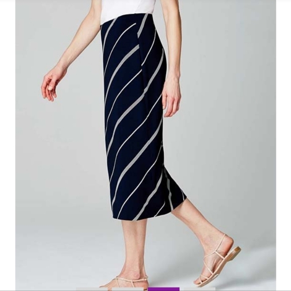 J.jill  midi skirt bnwt size S - Picture 3 of 4